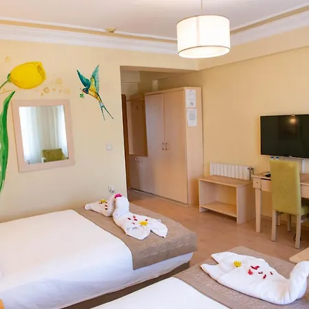 Simsek Hotel 3*